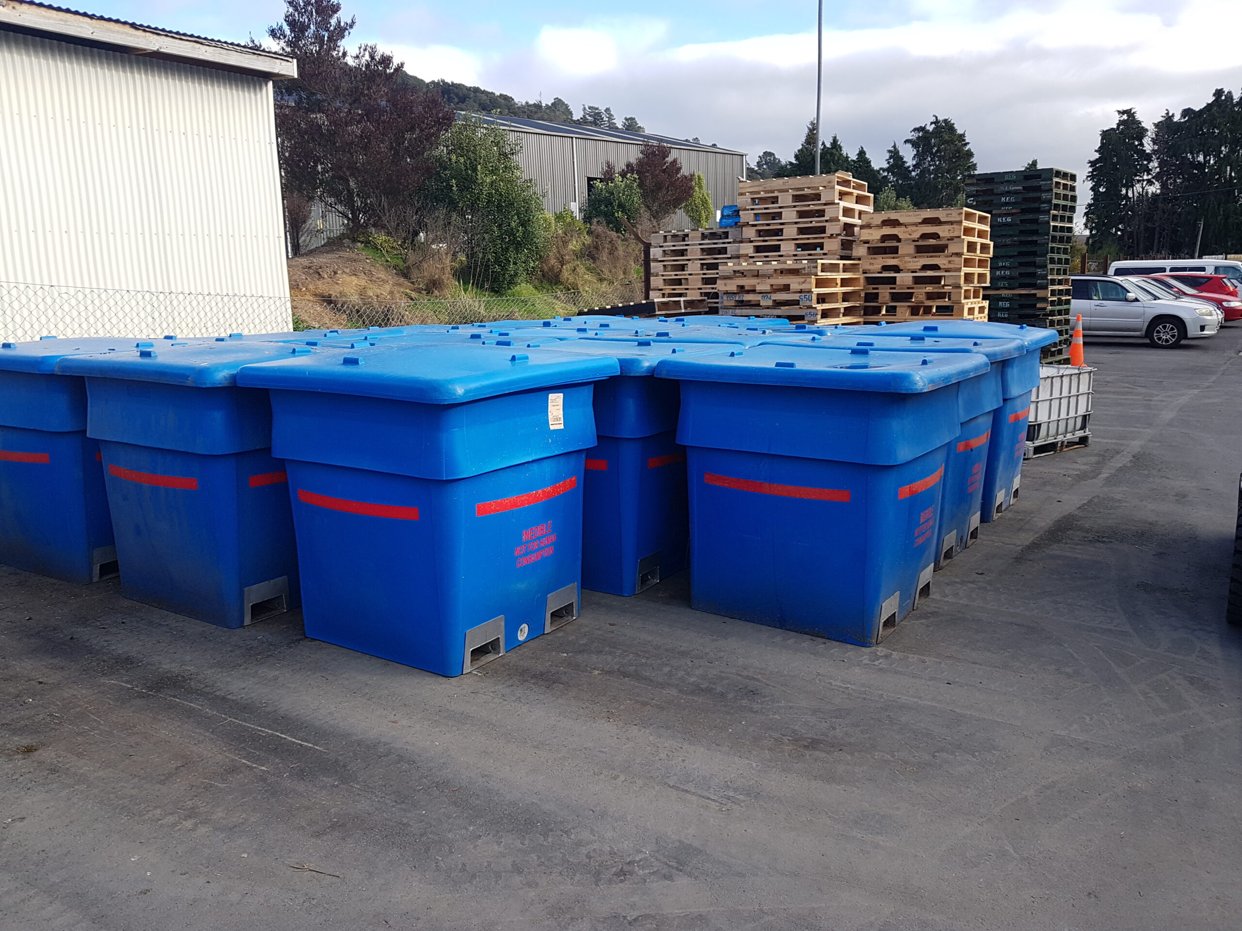 blue offal bins outside 1