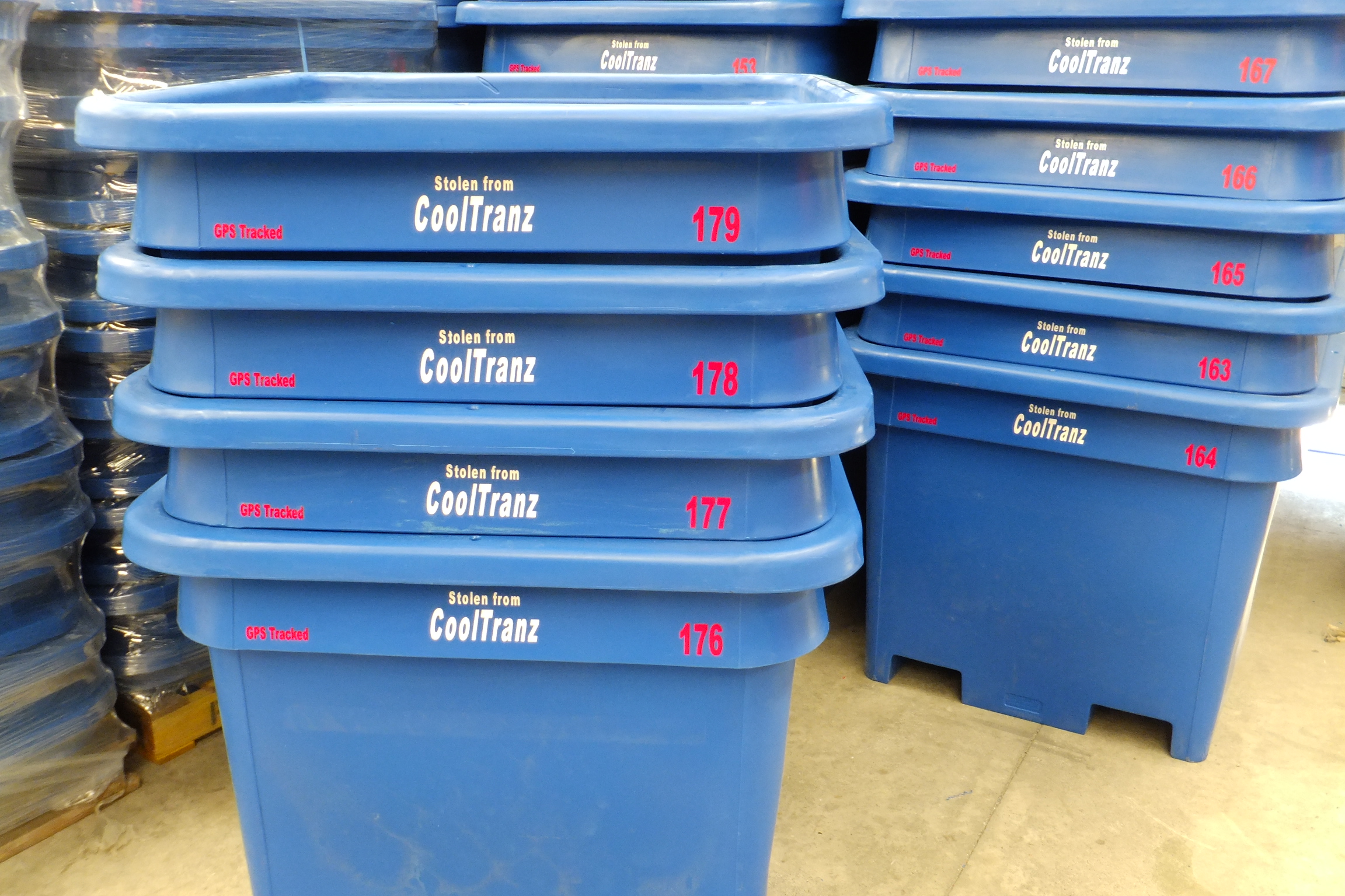 industrial grade blue plastic branded bins